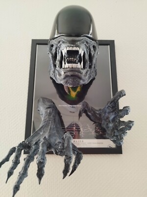 xenomorph head in kit lifesize 1:1