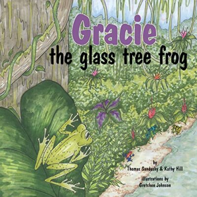 Sandusky - Gracie der Glasbaumfrosch - Neues Taschenbuch oder Softback - J555z