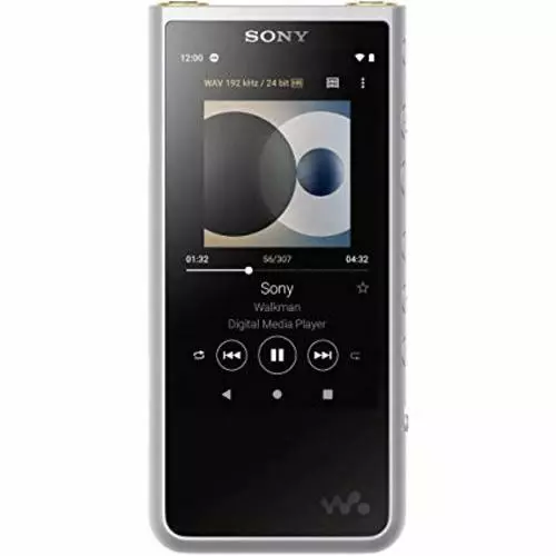 Sony NW-ZX 507 SM Portable Audio Player Walkman ZX 500 Series 64