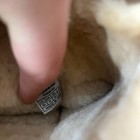 Picture 8 of 8