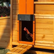 Chicken Coop Door  with Manual and Time Control Open/Close  grey  
