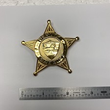 Deputy Sheriff Badge Gold Star W/Lion scale - Thread  Rod And Pin Backing - NEW