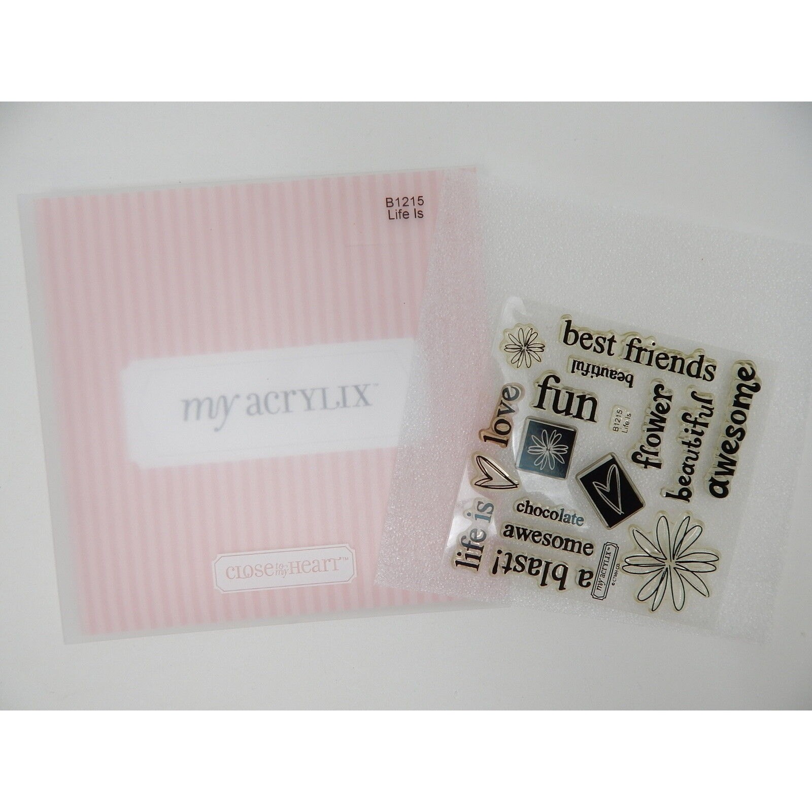 Close To My Heart Acrylix Stamp Set B1215 Life Is Phrases Beautiful Awesome Fun