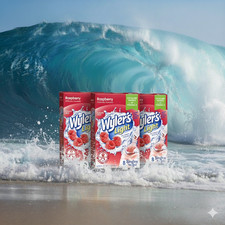 Wyler's Light Raspberry Singles To Go Drink Mix, 24 Pack 8x3 Packets