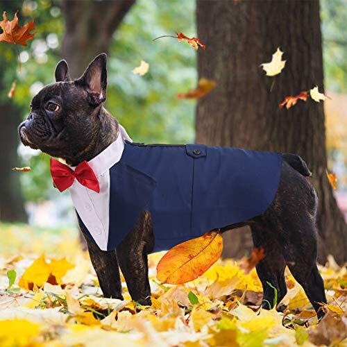 Dog Tuxedo for Large Dogs Dog Suit and Bandana Set Dog Wedding