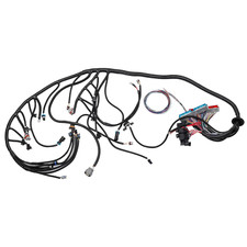 LS Standalone Wiring Harness 4L60E DBC Compatible with 1997-2006 GM LS1 Gen 3 Vo