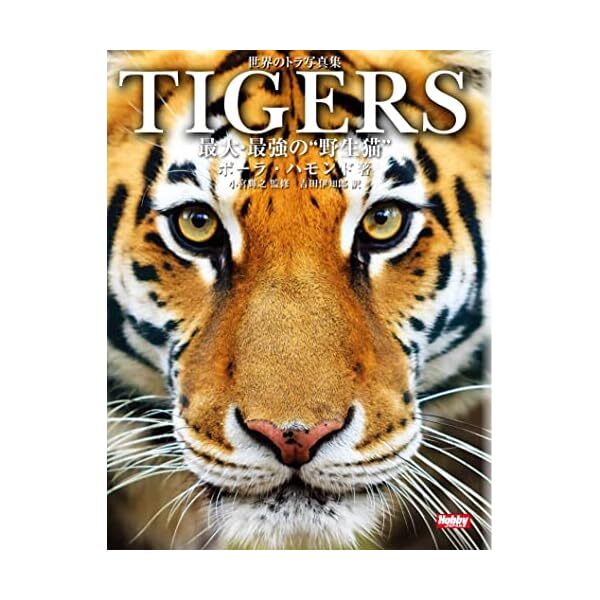 Tigers The World's Largest Cat Fascinating Tiger Photo Book (Art Book) NEW FS