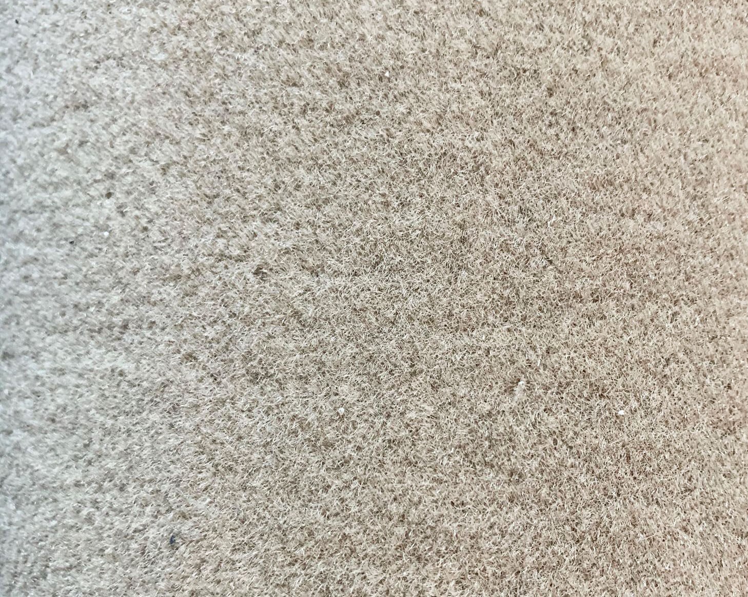 Picture 4 of 19