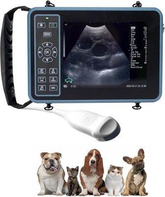 Veterinary Ultrasound Machine for Dog Pregnancy Vet Scanner 5.0Mhz Convex Probe