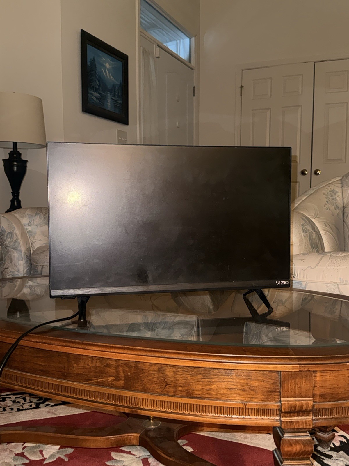 Vizio 24&rdquo; TV (D24f-J01) &ndash; Works Perfect &ndash; HDMI Include