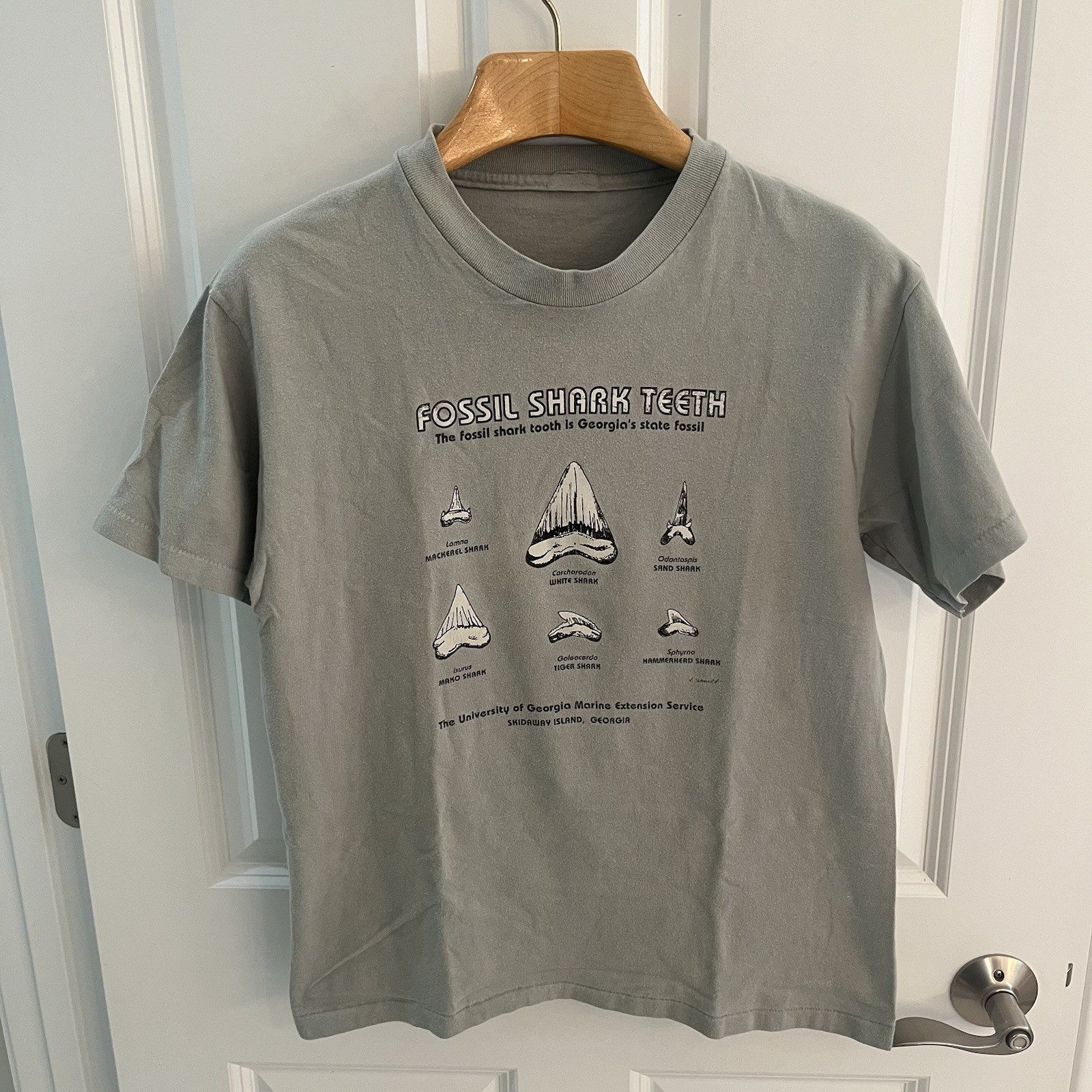 ALTRA T shirt maglietta vintage Georgia fossile denti di squalo uomo piccola S Skidaway Island GA