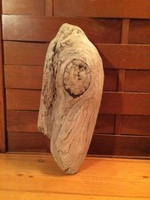 Beautiful 11" DRIFTWOOD Art Piece Terrarium Taxidermy Aquarium Beach DECOR