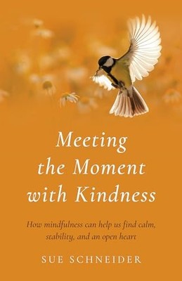 Meeting the Moment with Kindness: How m... by Sue Schneider Paperback / softback