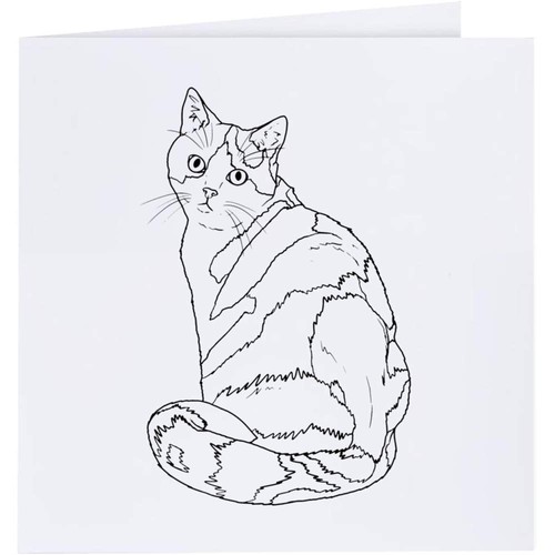 Curious Cats 30th Birthday Pop-Up Card And Sentiment Set