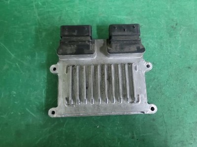 2010 Hyundai Genesis ECU OEM 391063C101