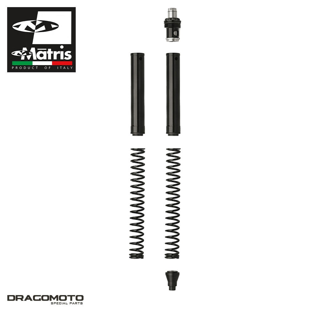 Kit fourche Matris FT139KE suspensions haut de gamme pour Triumph Speed Twin 900 avant