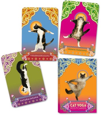 Rick Tillotson | Cat Yoga Postcards | Englisch (2007) | Random House LLC US
