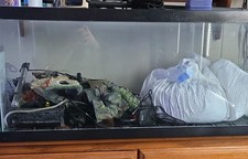 Glass Rectangle Aquarium Fish Tank Only for All Water Types, Standard Shape