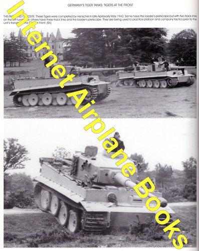 WW2 GERMAN TIGER TANKS (I & II) AT THE FRONT NORTH AFRICA RUSSIA ITALY NORMANDY - Picture 8 of 10