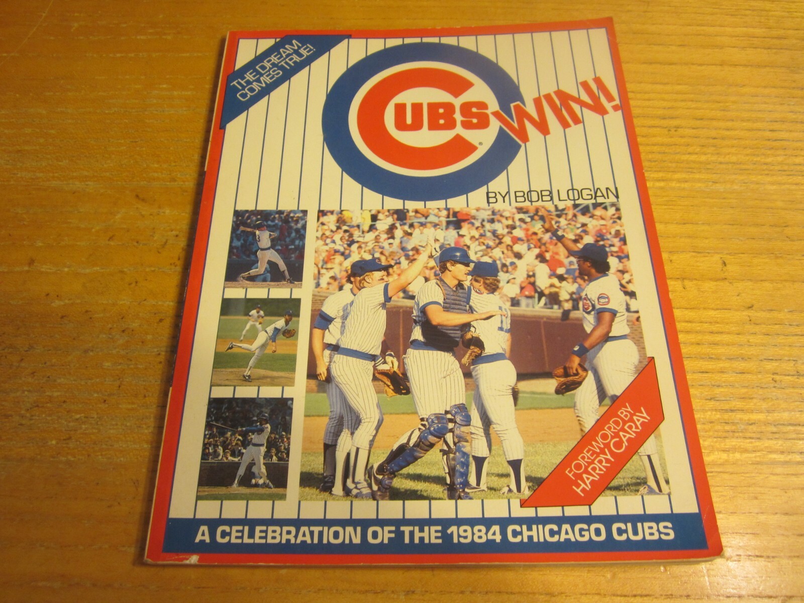 Cubs Win! A Celebration of the 1984 Chicago Cubs Book/Magazine MLB