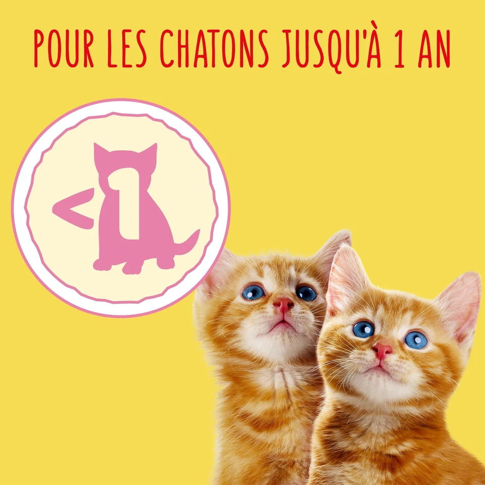 Junior mit Huhn Truthahn Milch und Gemüse – 15 kg – Trockenfutter für Kätzchen - Bild 2 von 4