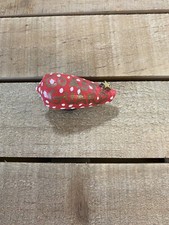 Red Coast Guard Hand-Painted Seashell Magnet