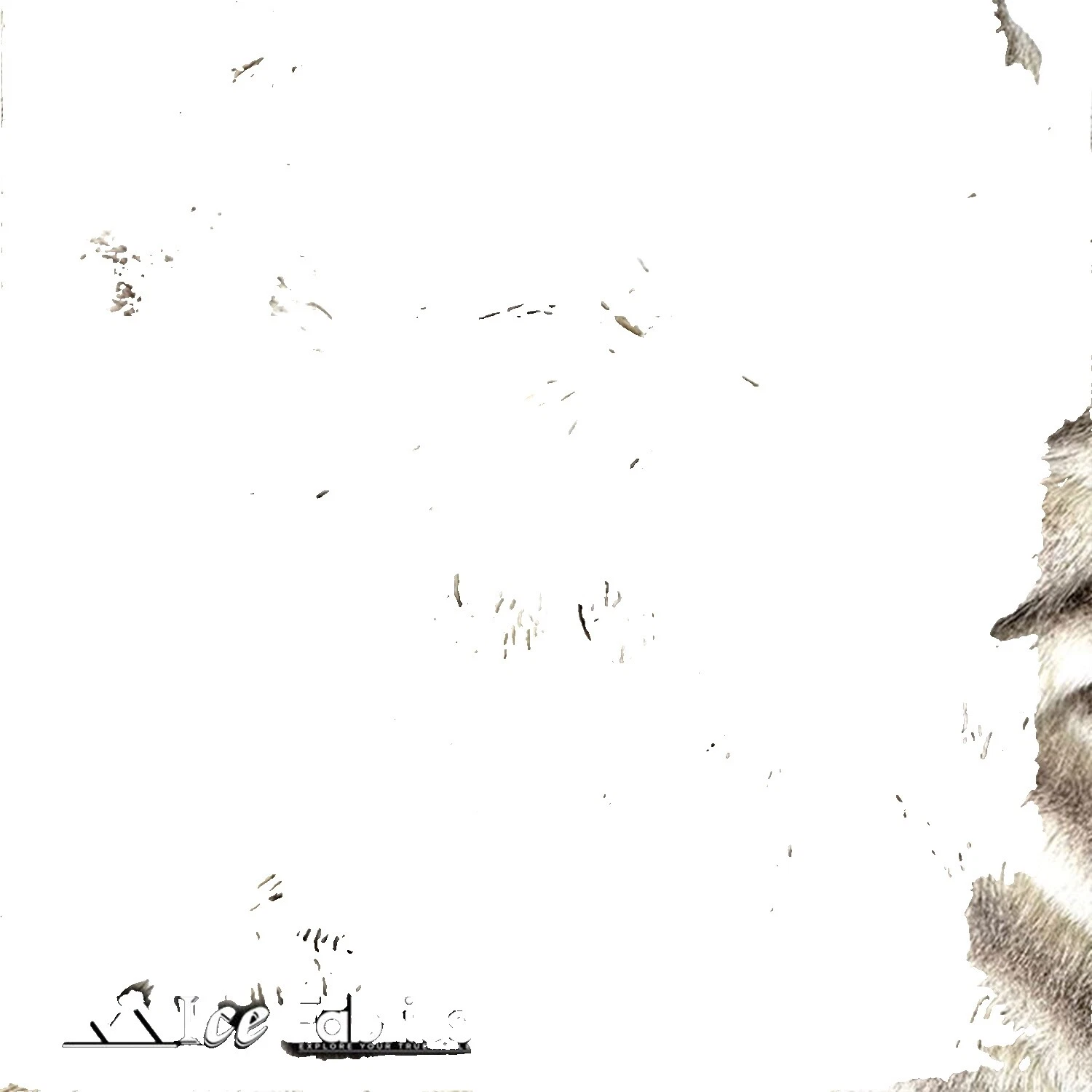 Cushion White Acrylic Craft Fabrics