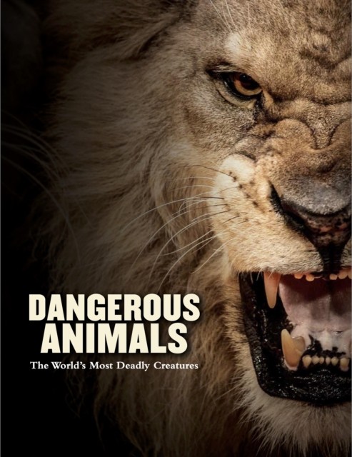Dangerous Animals: The World's Most Deadly Creatures (Animals in Photographs) B - Image 5