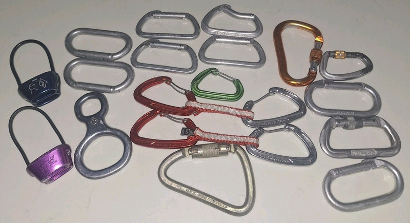 Rock Climbing Gear/Carabiners Lot 20 of Black Diamond-Madrock-Omega and more