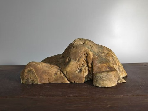 natural chinese Suiseki Bonsai JiuLongBi-mountain-chinese art stone