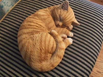 Sleeping Ginger Cat Resin 11.75'' L Realistic Decor / by Border Concepts NEW