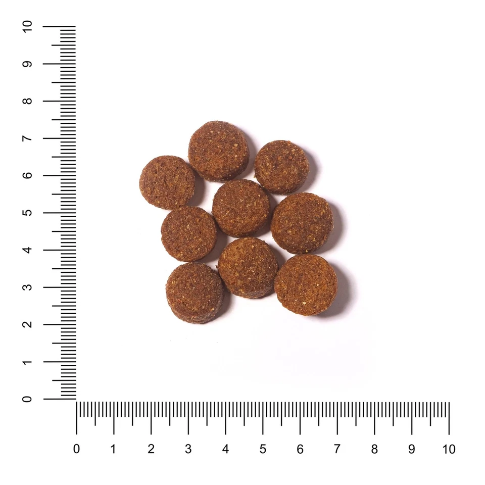 Hundefutter für ausgewachsene und aktive Hunde aller Rassen Trockenfutter mit... - Bild 3 von 4