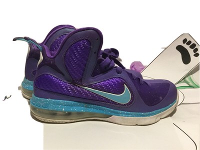 lebron 9 hornets