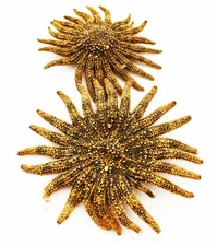 2 Beautiful Brown Multileg "Sunflower" Starfish 4-6" Beach Crafts Ocean Decor