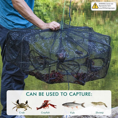 1/2PZ 10 Fori Minnow Trappola 32 * 10 in" Pieghevole Rete da Pesca Pesce Secchio Rete Granchio - Foto 3 di 12