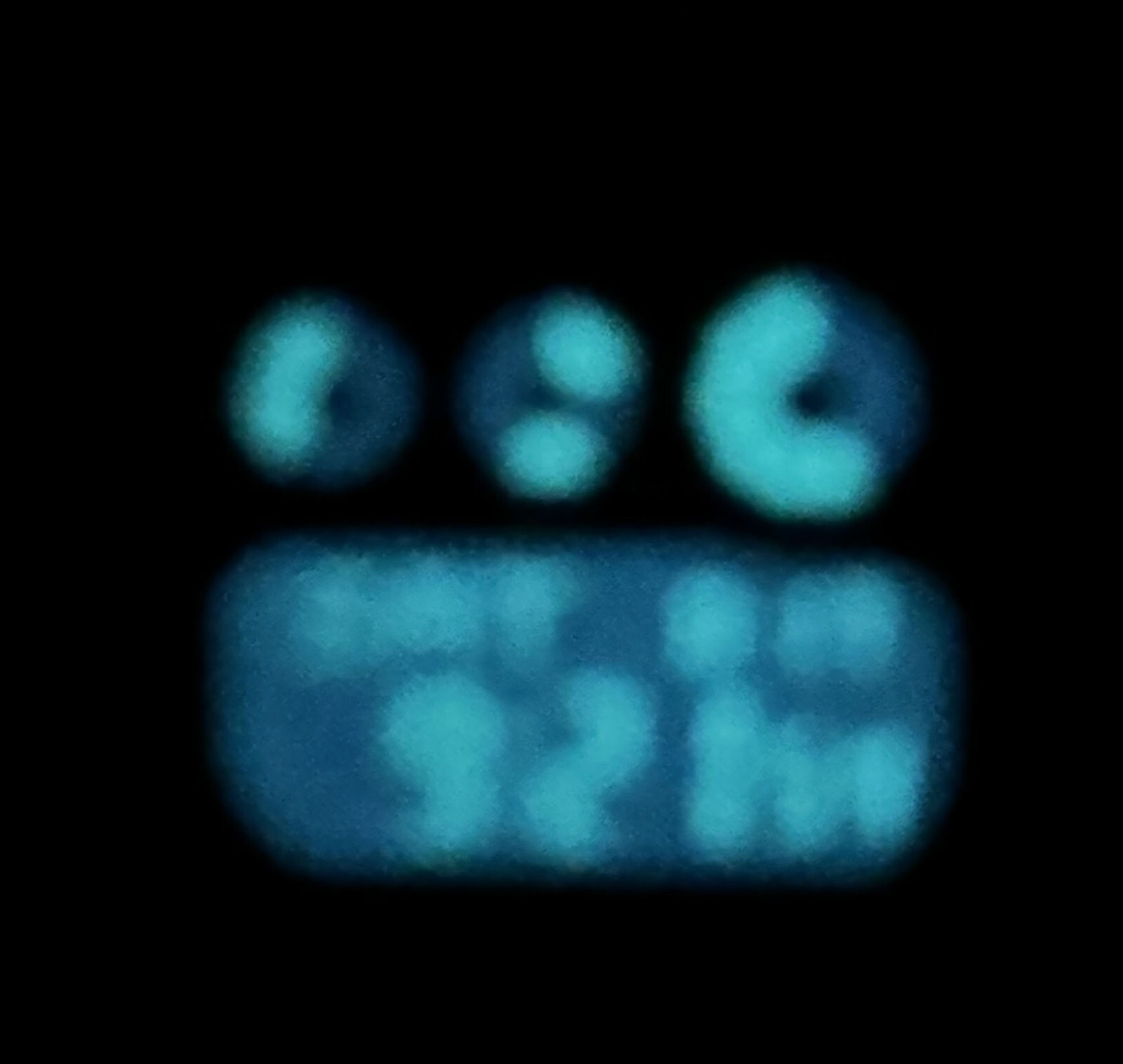 Picture 3 of 3