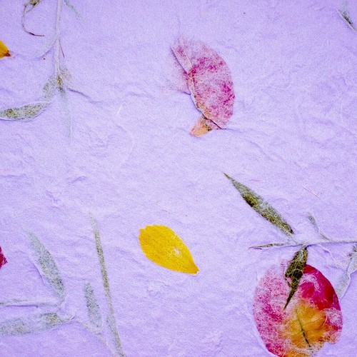 20x Mulberry Sheet Flowers of Pressed Purple Botanical Handmade Paper Book Craft - Bild 5 von 12