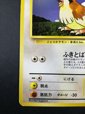 Pidgey Pokemon card #016 Lv.8 HP40 Nintendo Pokémon TCG Japanese