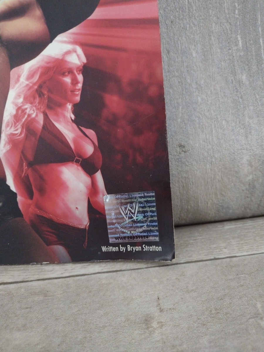 WWE SmackDown vs Raw 2007 by BradyGames Staff and Bryan