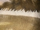 Bild 6 von 6