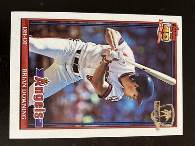 1991 Topps Operation Desert Shield #255 Brian Downing California Angels