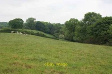 Photo 6x4 Field by Manor House farm, Crathorne The wooded area in the bac c2010