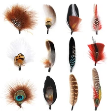 iHUFeather 12Pcs Hat Feathers Assorted Natural for Fedora Cowboy Pork Pie Trilby