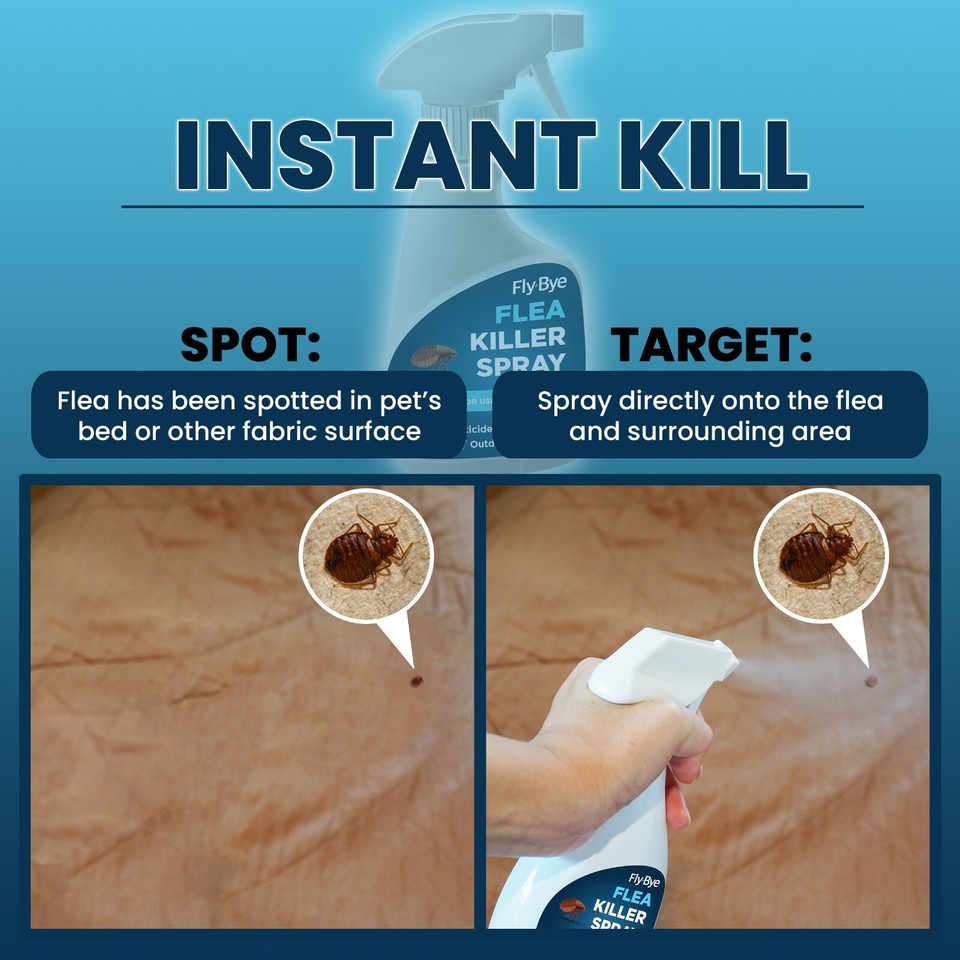 Photo inspiration: Visual Reference: Flea Killer Spray For Home Dogs Cats House Carpets Furniture