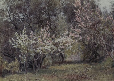 5434 Elgood - Lamia's Winter-quarters 1907 - Peach, plum and pear blossom