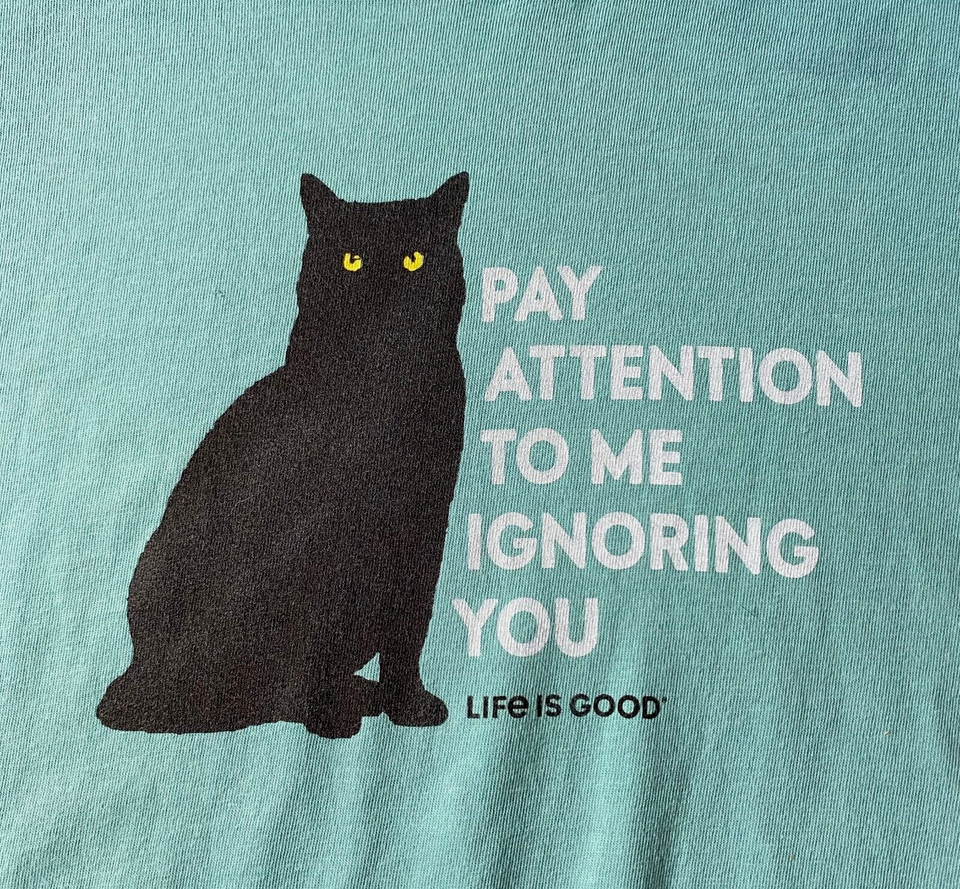 Life Is Good Pay Attention To Me Ignoring You TShirt 3XL Pastel Teal