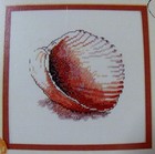 Lot of 4 Cross Stitch Patterns Green Apple Jewels of the Sea Collection Shells — photo 6