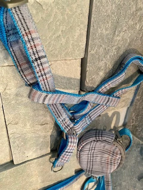Dog Harness, Lead & Poopie / Snack Bag Set