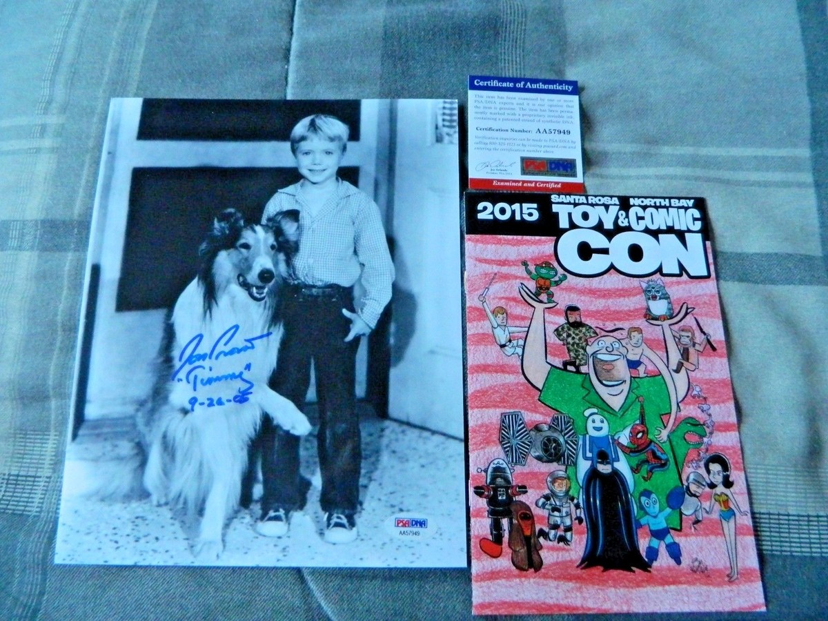 toy and comic con santa rosa San Jose Super Toy Comic & Collectible Show, March 1 & 2, 2025, Sat. and  Sun.!! Santa Clara County Fairgrounds 344 Tully Rd. San Jose, Calif. .  Www.timetunneltoys.com/toy-show-events Saturday hours Early bird main image 1