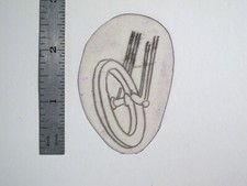 vtg 1960s Tattoo Flash acetate stencil Chopper Front Wheel HAR2